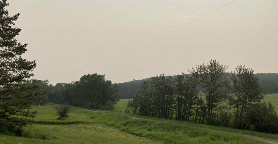 150 trees. Making connections, filling spaces.