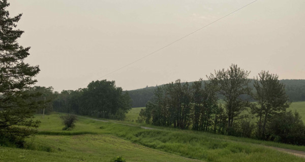 150 trees. Making connections, filling spaces.