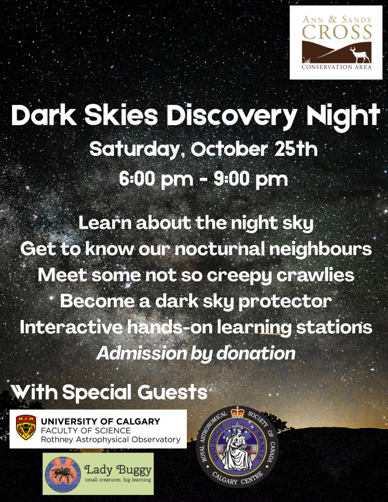 Dark Skies Discovery Night