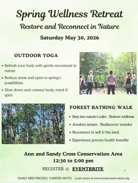 Spring Wellness Retreat