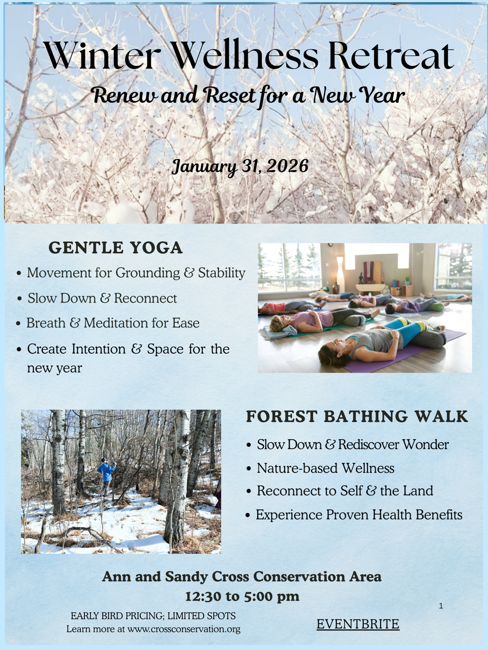 Winter Wellness Retreat
