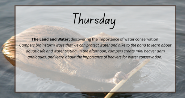 2026 Day Camp Sample Itinerary