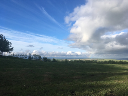 Junior Forest Warden