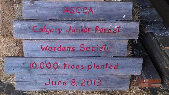 Junior Forest Warden