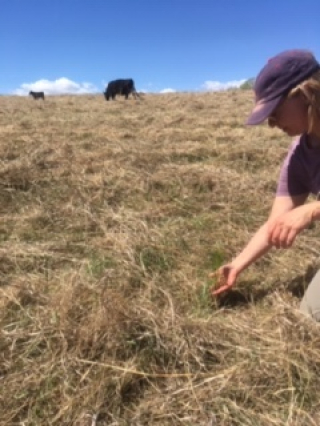 Junior Forest Warden