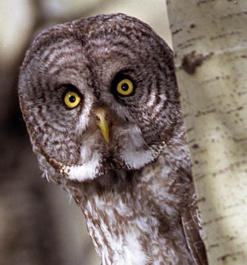 Conservation Matters